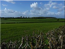SO8195 : Farmland north of Brantley Lane by Richard Law