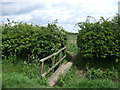 Footpath off Cross Lane