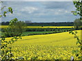 Farmland off Swinderby Road