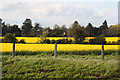 North Clifton farmland