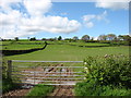 Fields near Llwynpenderi