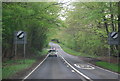 A264 in Cinder Wood