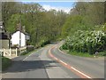 B4194 near Blackgraves Copse