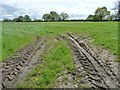 Tyre tracks in a field entrance