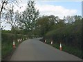 Collapsed verges on Netherton Lane