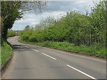 SO7386 : B4555 near Sutton Farm by Peter Whatley