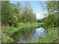 The Hatherton Branch Canal at Calf Heath, Staffordshire