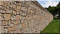 Cemetery wall, Comber (1)