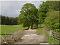 Track near Tulliallan Farm