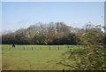 Countryside near Queen Street