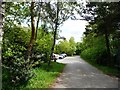 Southern car park, Shakerley Mere