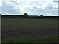 SK8965 : Farmland off Eagle Lane by JThomas