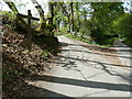 Bridleway and private road to Trotton Marsh