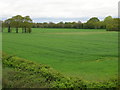 Farmland, Weeley Heath