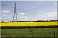 Pylon in the rape