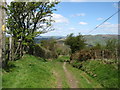 The Wye Valley Walk climbs to Banc y Celyn