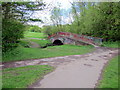 Two Paths Meet at Another Footbridge Over the Bourn Brook