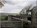 A footpath to Knockburn