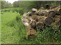 Log Pile by Lane Copse