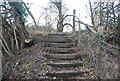 Steps in Broomden Wood