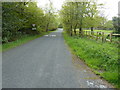 Approach to road junction at Rogate Common