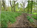 Bridleway 3292 passing Rogate Lodge