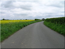 TM0638 : Lane towards Great Wenham by JThomas