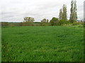 Farmland, Red House Farm