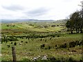 The Muddock Valley from the Fofanny Road