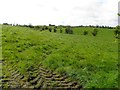 Aghaleag Townland