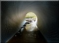 A culvert on the Cliffhope Burn