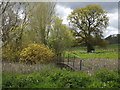 SU7629 : Pond by Hurst Farm by Colin Smith