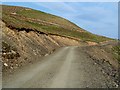 A forestry road at Saughtree Grain