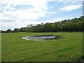 Waterlogged field, east of Brick Bank Lane