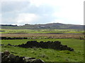 Farmland and boggy ground