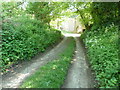 Terwick Cottages on the access route from Terwick Common