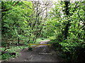 Quarry Road near Winders Hill Wood