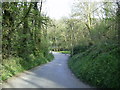 Country Road through Millpark Wood