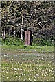 SJ2686 : Standing Stone, Arrowe Park by El Pollock