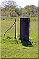 SJ2686 : Standing Stone, and Ironwork, Arrowe Park by El Pollock