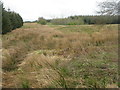 Moorland at Stanebent