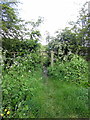 Path and gate into the community playing fields