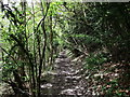 North Downs Way to Gravelly Hill (lane)