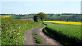 Farm track; late spring