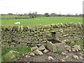 NY8056 : Animals' drinking trough in dry stone wall east of Burn Tongues by Mike Quinn