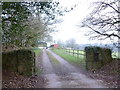 Footpath through Coed Las-fach