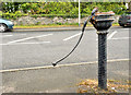 Old pump, Loughbrickland (2-1)