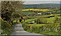 The Poyntzpass Road near Loughbrickland