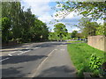 Road heading north-east through Littleton, Middlesex