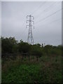 Disused Bridge Over Stream at Wash Lane